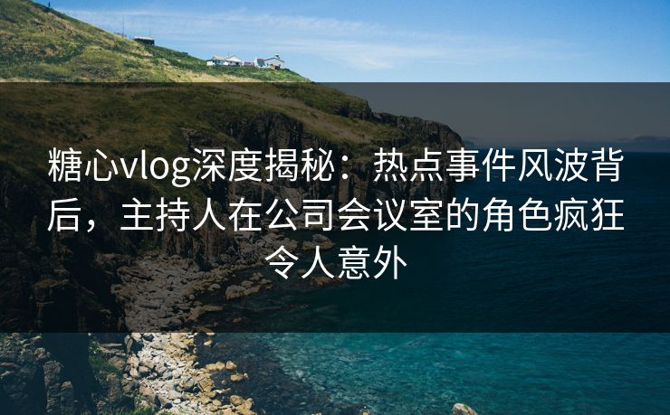 糖心vlog深度揭秘：热点事件风波背后，主持人在公司会议室的角色疯狂令人意外