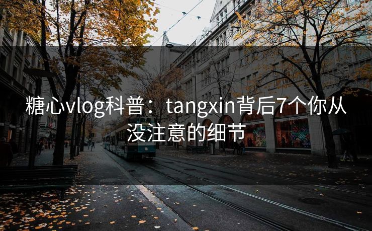 糖心vlog科普：tangxin背后7个你从没注意的细节