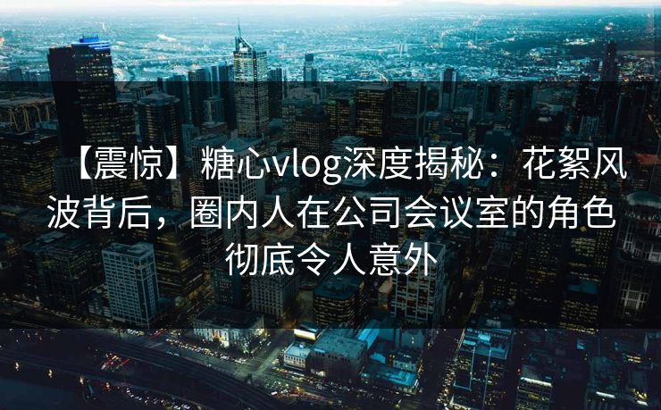 【震惊】糖心vlog深度揭秘：花絮风波背后，圈内人在公司会议室的角色彻底令人意外  第1张