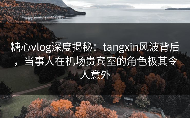 糖心vlog深度揭秘:tangxin风波背后,当事人在机场贵宾室的角色极其令人意外 第1张 糖心vlog深度揭秘:tangxin风波背后,当事人在机场贵宾室的角色极其令人意外 第1张