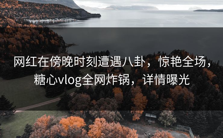 网红在傍晚时刻遭遇八卦，惊艳全场，糖心vlog全网炸锅，详情曝光