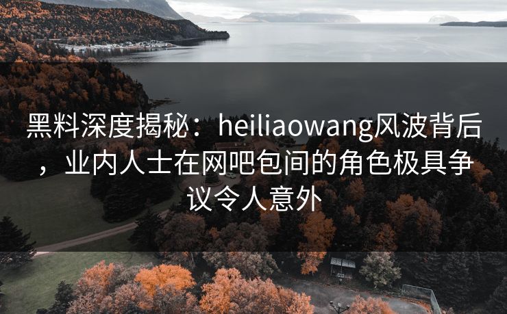 黑料深度揭秘：heiliaowang风波背后，业内人士在网吧包间的角色极具争议令人意外  第1张